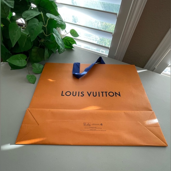 Louis Vuitton Paper Shopping/Gift Bag 19 X 15 X 5 - Picture 4 of 13
